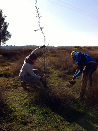 Foto cedida por Ayuntamiento de Alcalá