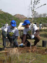 Foto cedida por Ayuntamiento de Alcalá